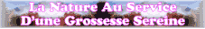 La nature au service d'une grossesse sereine
