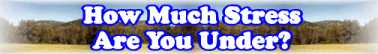 Go To Text Page: How Much Stress Are You Under ?