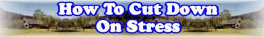 Quick Survey On: How To Cut Down On Stress - Page 17