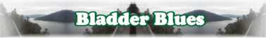 Quick Survey On: Bladder Blues - Page 78