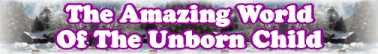 Quick Survey On: The Amazing World Of The Unborn Child - Page 98