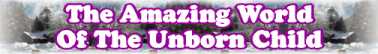 Go To Text Page: The Amazing World Of The Unborn Child