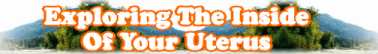 Quick Survey On: Exploring The Inside Of Your Uterus - Page 249