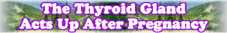 The Thyroid Gland Acts Up After Pregnancy - Page 141