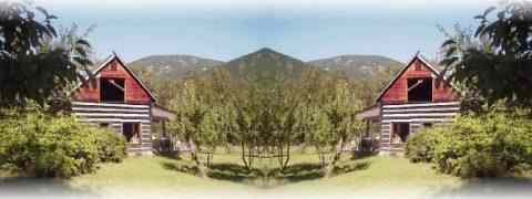 To The Top Of This Page