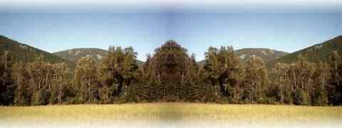 To The Top Of This Page