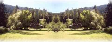 Doctor DeMarco Recommended Products