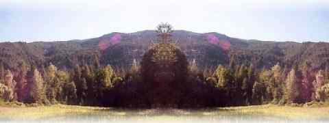 Doctor DeMarco Recommended Products