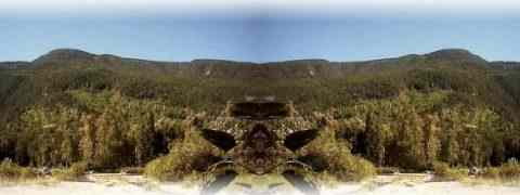 Doctor DeMarco Recommended Products