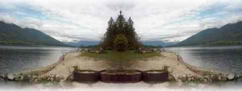 To The Top Of This Page