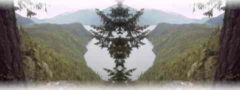 Doctor DeMarco Recommended Products