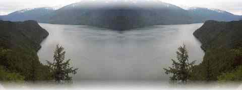 Doctor DeMarco Recommended Products