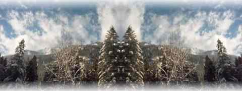 Doctor DeMarco Recommended Products