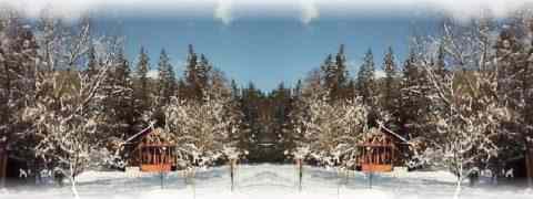 Doctor DeMarco Recommended Products