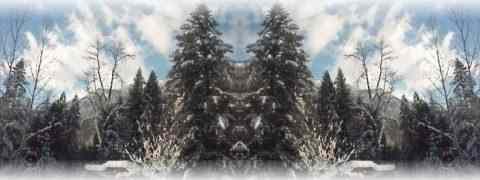 Doctor DeMarco Recommended Products