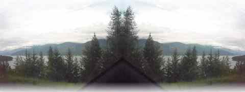 Doctor DeMarco Recommended Products