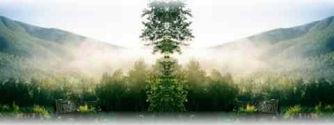 Doctor DeMarco Recommended Products