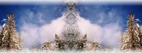 Doctor DeMarco Recommended Products