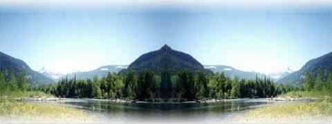 Doctor DeMarco Recommended Products