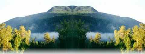 Doctor DeMarco Recommended Products