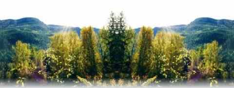 Doctor DeMarco Recommended Products