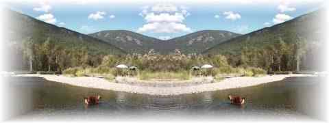 Doctor DeMarco Recommended Products