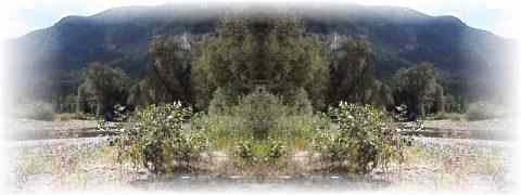 Doctor DeMarco Recommended Products