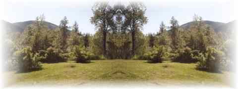 Doctor DeMarco Recommended Products