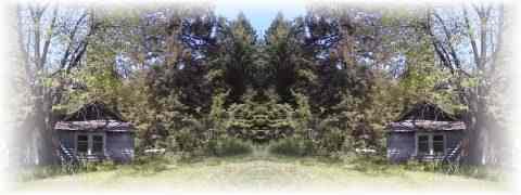 Doctor DeMarco Recommended Products