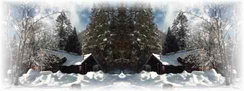 Doctor DeMarco Recommended Products