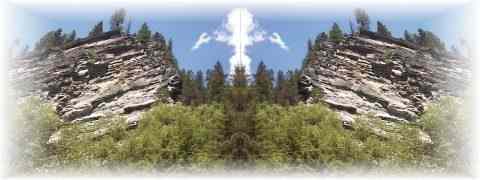 Doctor DeMarco Recommended Products