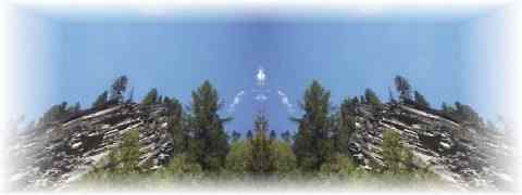 Doctor DeMarco Recommended Products