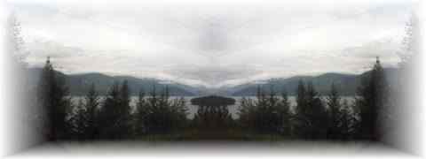 Doctor DeMarco Recommended Products