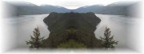 Doctor DeMarco Recommended Products