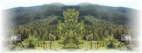 Doctor DeMarco Recommended Products