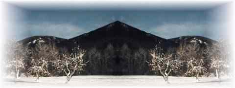 Doctor DeMarco Recommended Products