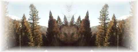 Doctor DeMarco Recommended Products