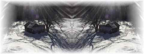 Doctor DeMarco Recommended Products