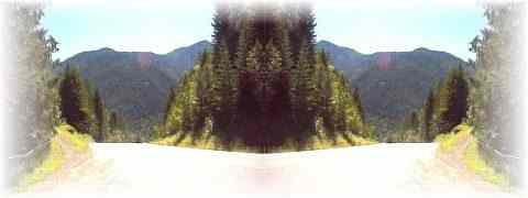 Doctor DeMarco Recommended Products