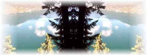 Doctor DeMarco Recommended Products