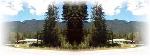 Doctor DeMarco Recommended Products