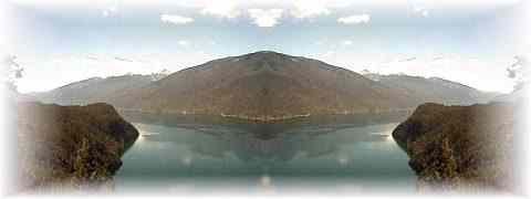 Doctor DeMarco Recommended Products