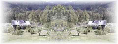 Doctor DeMarco Recommended Products