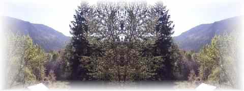 Doctor DeMarco Recommended Products