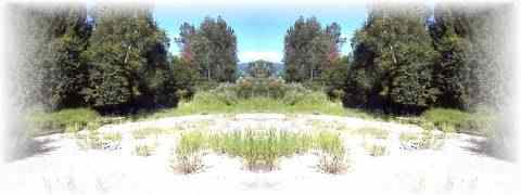 Doctor DeMarco Recommended Products