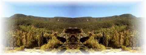 Doctor DeMarco Recommended Products