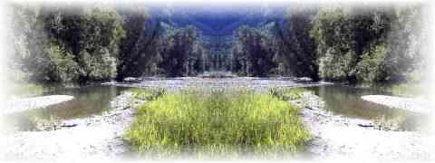 Doctor DeMarco Recommended Products