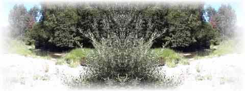 Doctor DeMarco Recommended Products