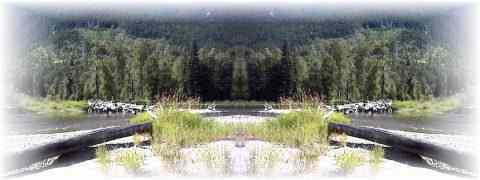 Doctor DeMarco Recommended Products