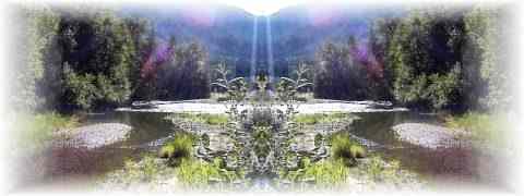 Doctor DeMarco Recommended Products